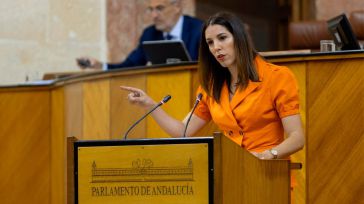 VOX denuncia que el Gobierno del PP "pone pisos" a ilegales que "no vienen a integrarse"