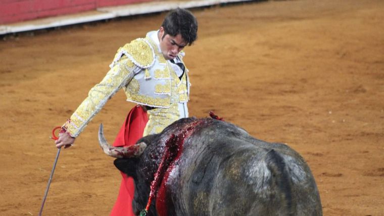 Sin toros no hay cultura