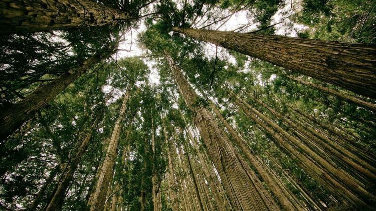 Nuevas élites para el futuro (V): Medio Ambiente