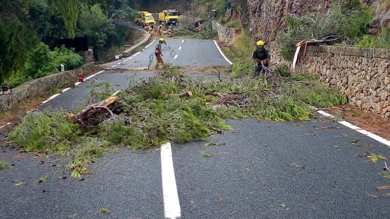 Imágenes del 'cap de fibló': 'El viento no arrancaba los árboles, los partía'