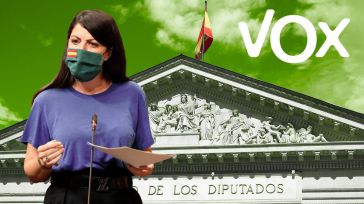 Vox advierte al Gobierno que recurrirá la "totalitaria" Ley de Memoria Democrática ante el Tribunal Constitucional