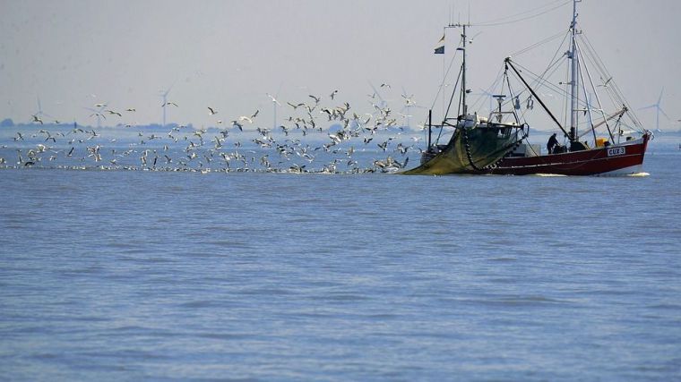 Crímenes en el mar: Una amenaza para la paz y seguridad mundial