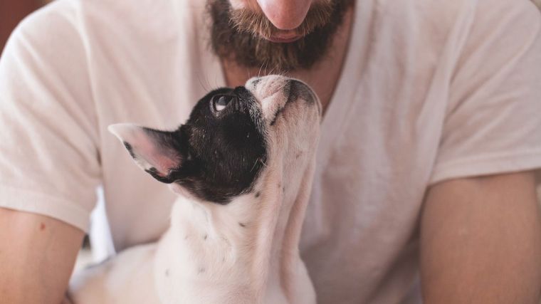 'Al pan pan y a los animales sensibilidad'