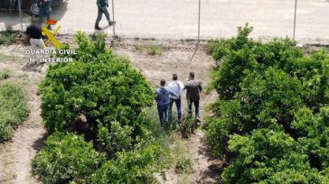 La Guardia Civil detiene en Sevilla a un narcotraficante huido desde hace 10 meses