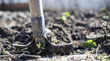 Hacia la independencia alimentaria y energética nacional