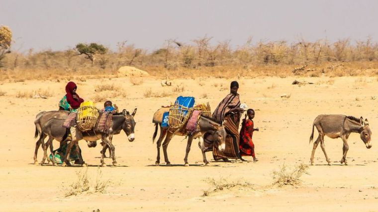 Familia desplazada por la sequía en el Cuerno de África