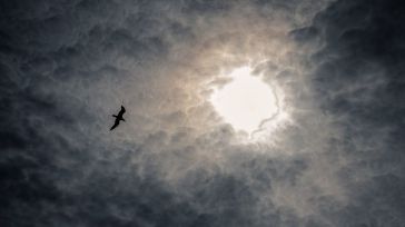 Viene oscuro tirando a negro