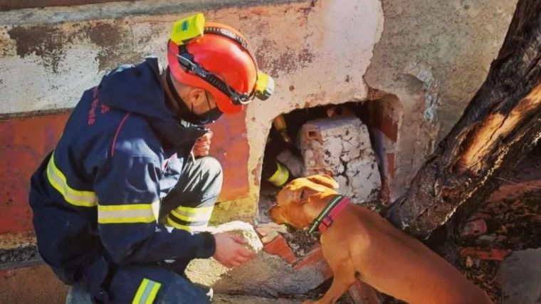 Llevaba un día perdido: Un bombero fuera de servicio y su perra rescatan a un hombre con vida
