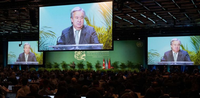 Guterres arregla el mundo en su balance del año