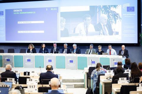El Comité Económico y Social Europeo aboga por un presupuesto fuerte para afrontar los retos de la UE