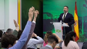 Abascal celebra la «única buena noticia del Gobierno en cuatro años»: la convocatoria de elecciones