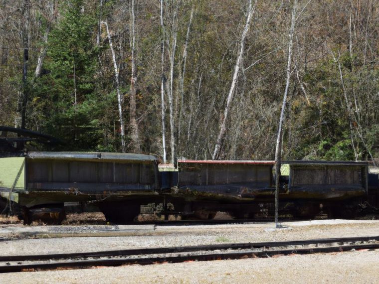 vagones cargados con munición militar En una estacion de tren rodeado de bosque