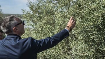VOX exige a Sánchez incluir el viñedo y el olivar en las ayudas por la sequía