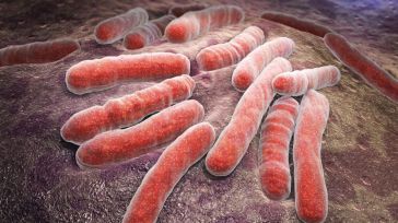 La tuberculosis y sus escalofriantes datos: 10,6 millones de personas enfermas y 1,3 millones de muertes en 2022