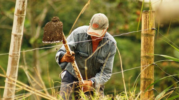 La ciencia al habla: Los efectos mortales de trabajar al aire libre bajo el sol