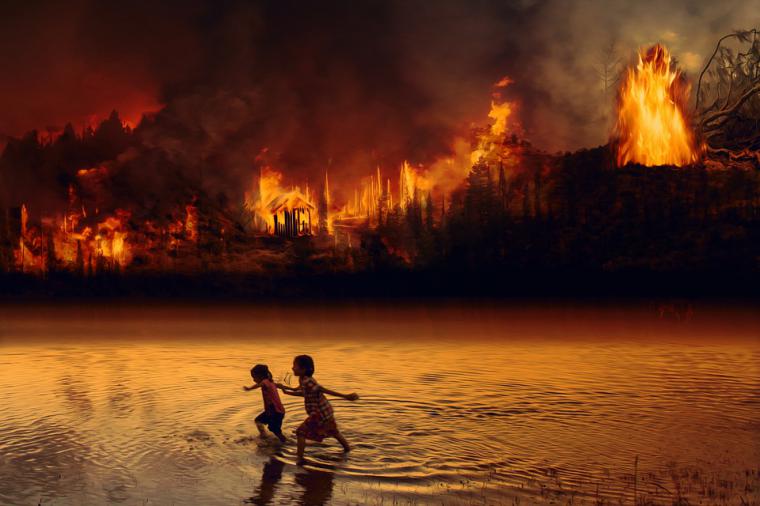 ¡Que los Estados dejen de incendiar el Amazonas!