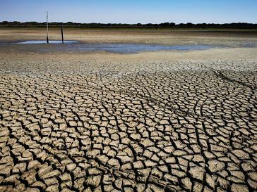 Datos: El verano de 2022 fue el más caluroso en España de los últimos 700 años