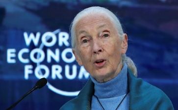 Experta en Davos propone reducir la población mundial en un 90%