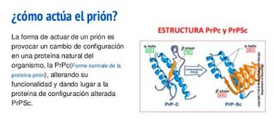 El genocidio de las "vacunas”: ¿será mediante priones? 