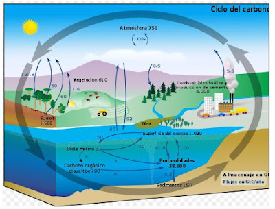 Qué hay detrás de la satanización del CO2