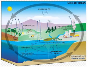 Qué hay detrás de la satanización del CO2