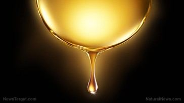 Descubren en conferencia que el oro biofotónico de Egipto era la clave del poder humano