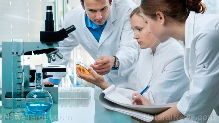 Micromotores impulsados por luz revolucionan la medicina y superan barreras científicas
