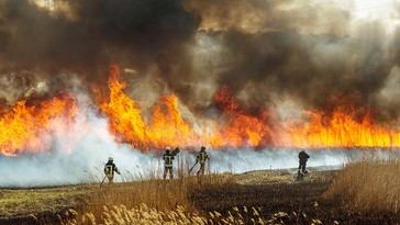 Patagonia enfrenta devastadores incendios forestales y evacuaciones masivas