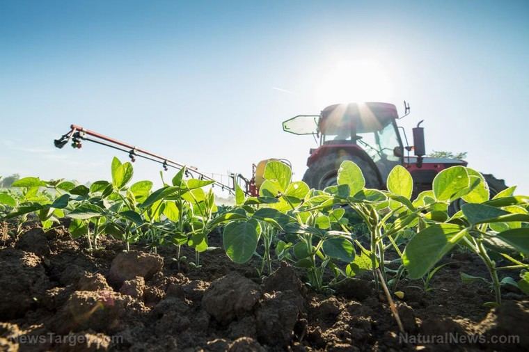 Pérdidas agrícolas de mil millones por tormenta solar y la necesidad de mejorar sistemas GPS