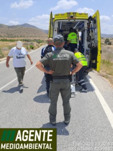 Motociclista de 78 años es atendido tras accidente en Abanilla