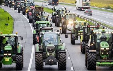 La grave consecuencia de cerrar negocios agrícolas y su impacto en nuestra cadena alimentaria