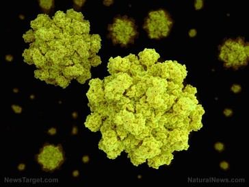 Patógenos diseñados por IA generan alarmas de bioseguridad por su capacidad de evadir detección