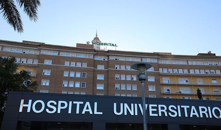 Caballo desbocado deja al menos dos heridos en Sevilla