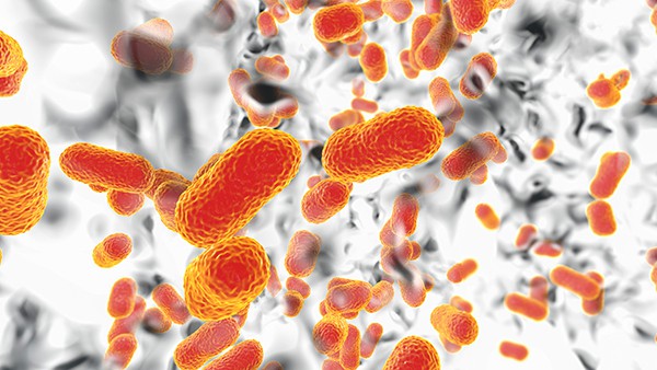 Científicos alertan sobre tendencias preocupantes en salud y la falta de prevención y confianza pública