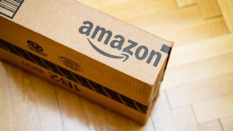 Trabajadores de Amazon realizan histórica huelga durante la temporada navideña de 2024