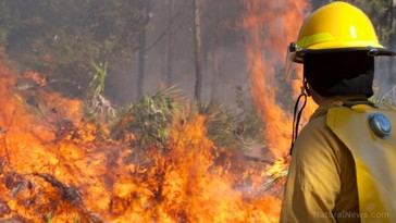 Gobierno ignoró sabiduría indígena sobre el fuego, agravando la crisis de incendios en EE. UU