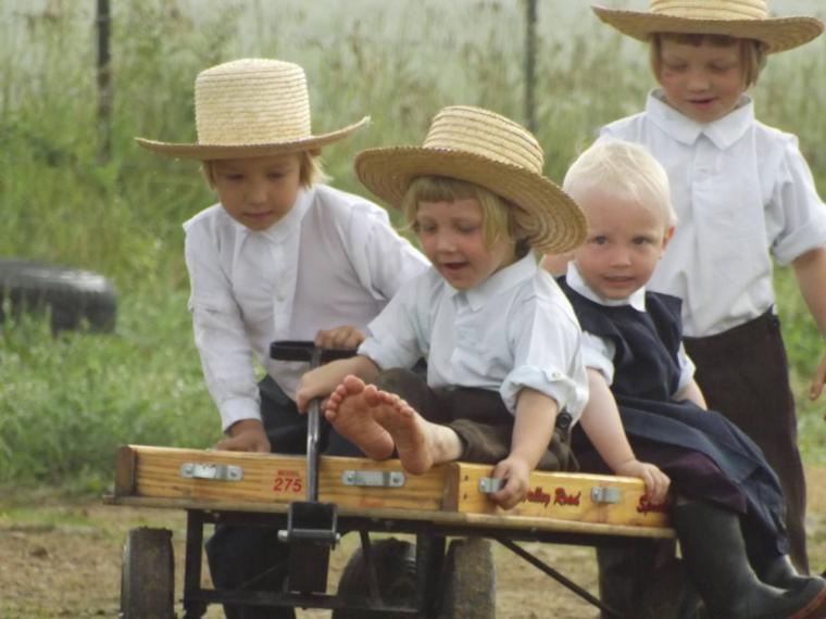 Hay cero niños Amish que sufren de cáncer, diabetes o autismo