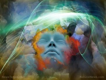 Revelan una nueva crítica a la filosofía de Ayn Rand y el Objetivismo