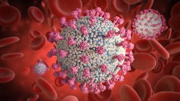 Estudio revela que las vacunas de ARNm podrían inducir producción continua de proteínas espiga dañinas