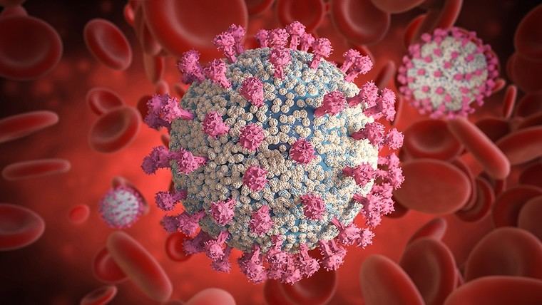 Estudio revela que las vacunas de ARNm podrían inducir producción continua de proteínas espiga dañinas