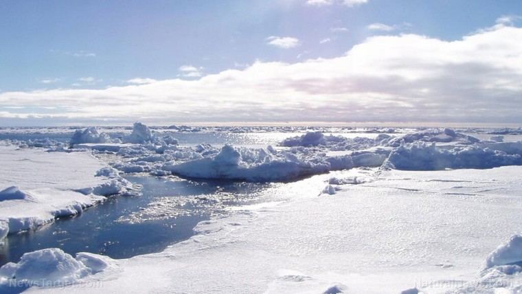 Antártida y Brasil desafían las alarmas climáticas con aumento de hielo y cosechas récord