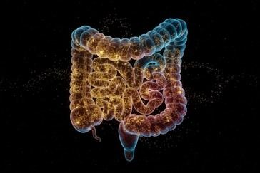 Crisis de resistencia a antibióticos agrava enfermedades intestinales inflamatorias