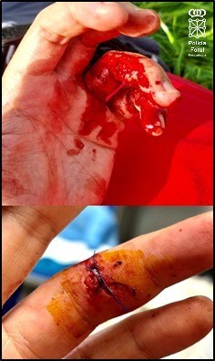 Policía Foral detiene a 45 personas en una semana