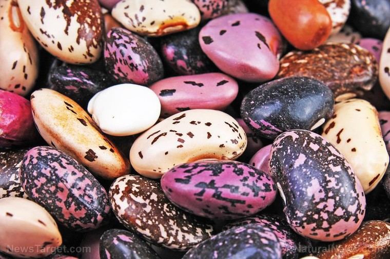 Las legumbres: una solución económica para mejorar la salud y prolongar la vida
