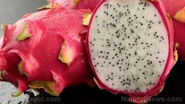 17 alimentos refrescantes para combatir el calor del verano