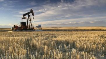 Químicos eternos y avaricia corporativa amenazan la agricultura estadounidense