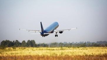 Superando el miedo a volar: estrategias efectivas para recuperar la calma en el aire