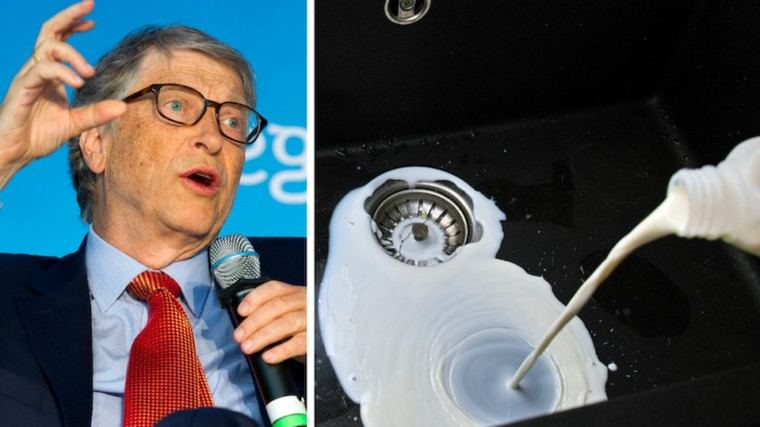 Leche de vaca cultivada en laboratorio de Bill Gates llegará a los supermercados de EE. UU