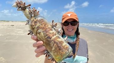 Botellas de brujas encontradas a lo largo del Golfo de México
