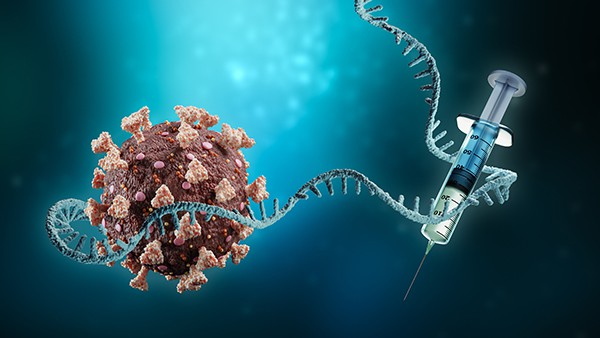 Científicos japoneses crean un virus híbrido de gripe aviar para pruebas de vacunas